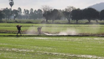 Депутаты считают, что новый план внесения удобрений "вредит" фермерам