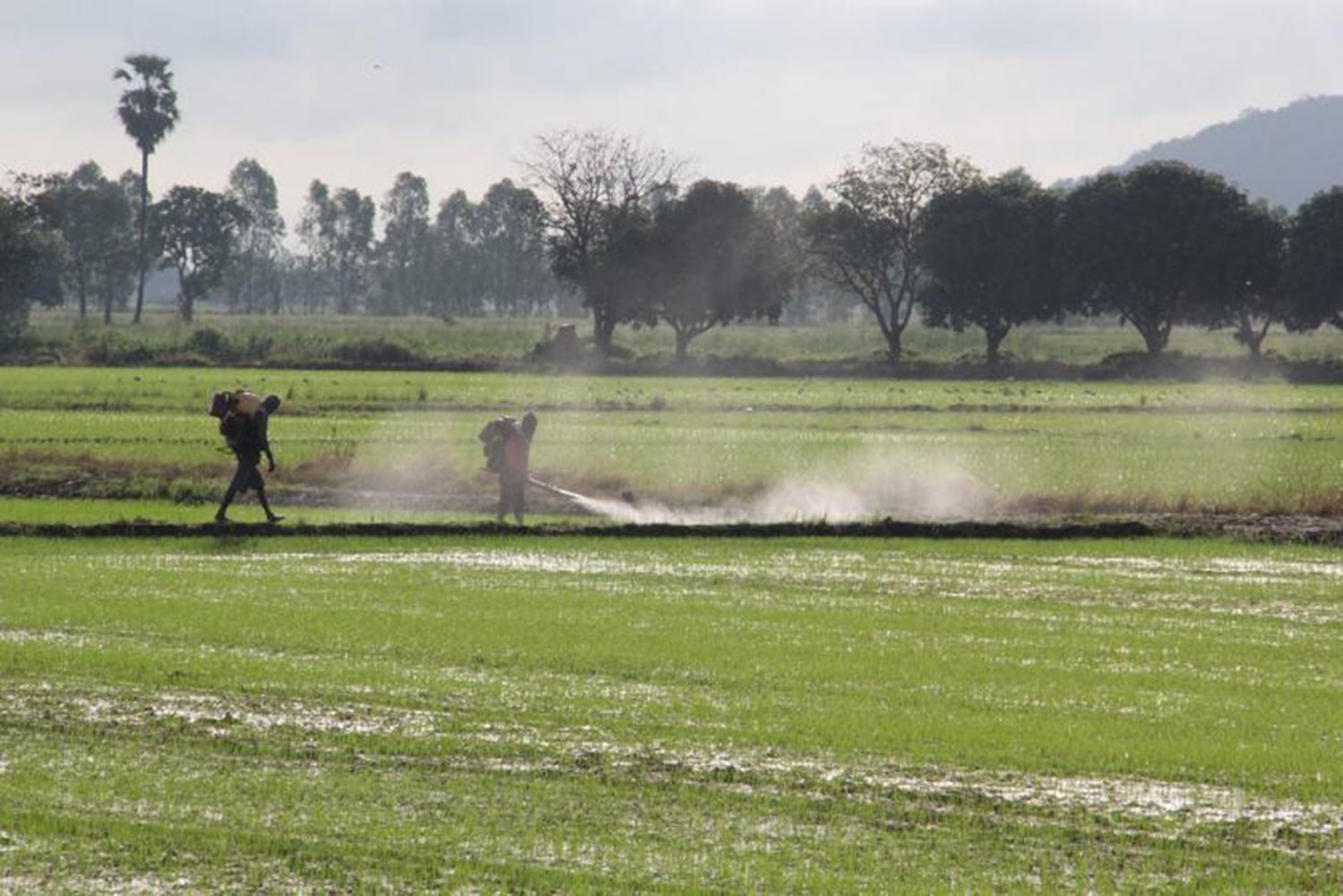 Депутаты считают, что новый план внесения удобрений "вредит" фермерам