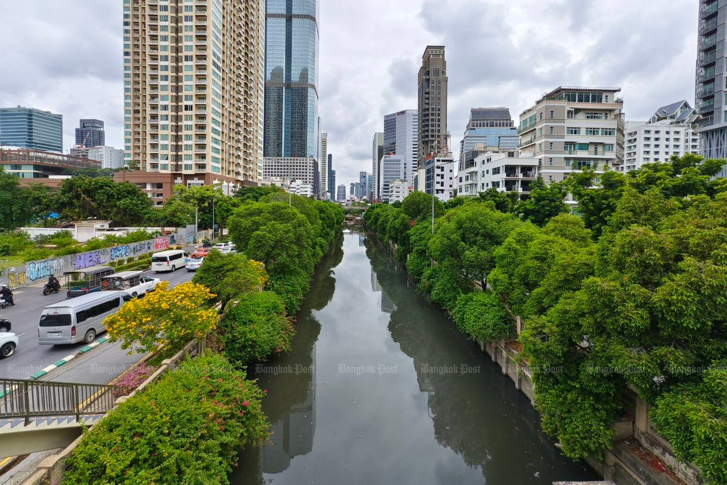 Деревья Чонг Нонси сохраняются, сообщает city