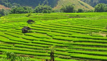 Еще один подземный толчок под Чиангмаем