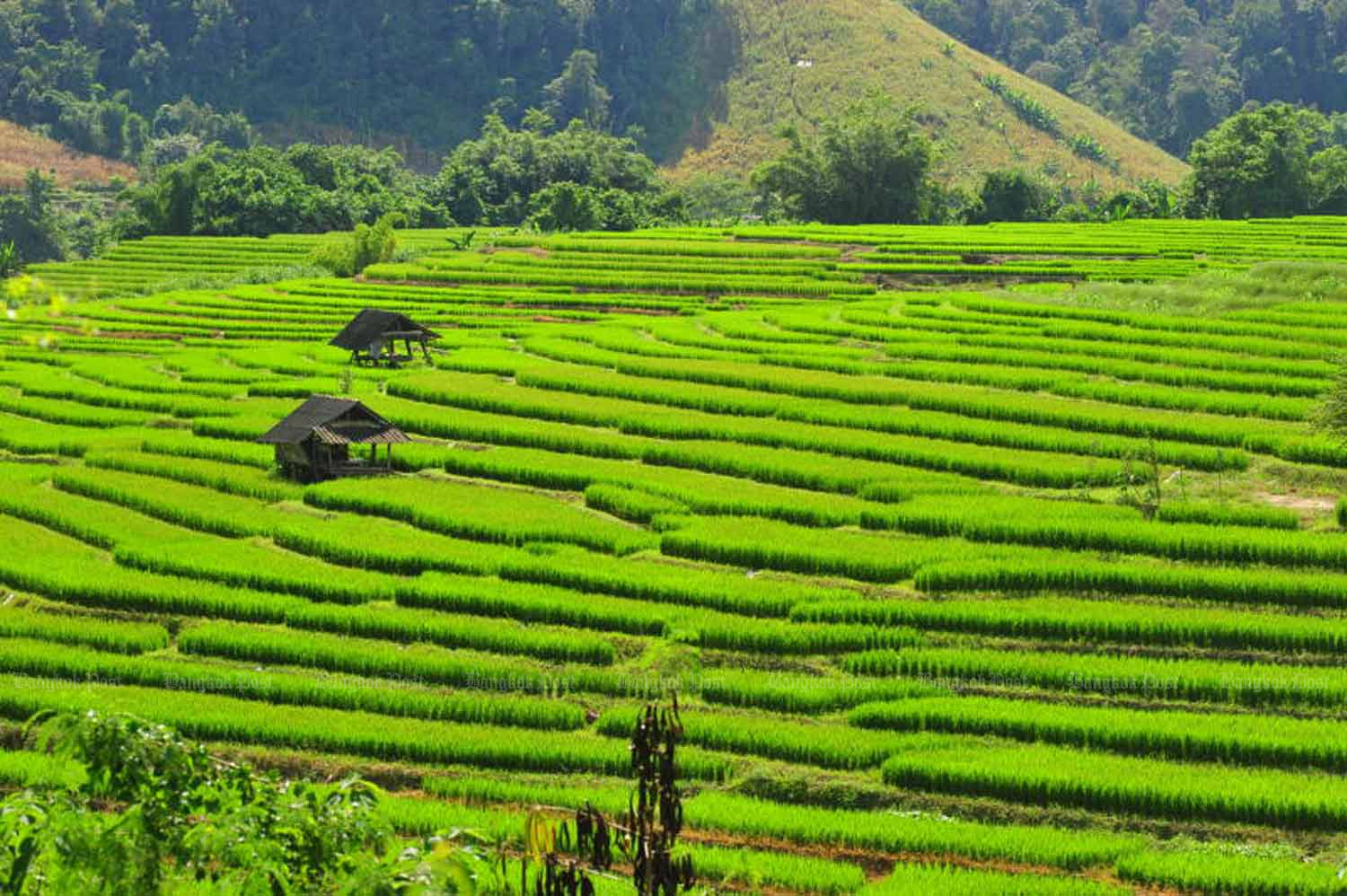 Еще один подземный толчок под Чиангмаем