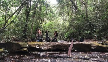 Звоните, чтобы помочь спасти Thap Lan park от застройщиков