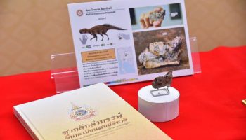 Книга демонстрирует ископаемое наследие королевства