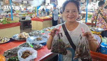 Когда идет дождь, становится жарко: сезон Цзин-кунга в Пхаяо в самом разгаре