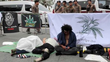 Критики критикуют подход тайского правительства к каннабису