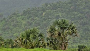 Местные жители говорят "нет" демаркации границы