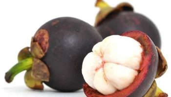 Министерство финансов Таиланда намерено повысить цены на мангостан и лонган