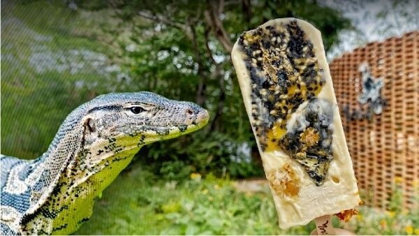 Мороженое Lizard lolly: эскимо в тайском кафе захватило социальные сети