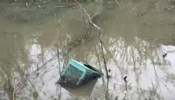 Мужчину убило электрическим током во время рыбалки самодельной удочкой в Канчанабури