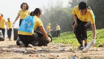 На пляжном субботнике у аэропорта собрали 736 кг мусора