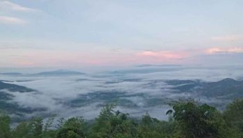 Общественность "введена в заблуждение" на территории парка