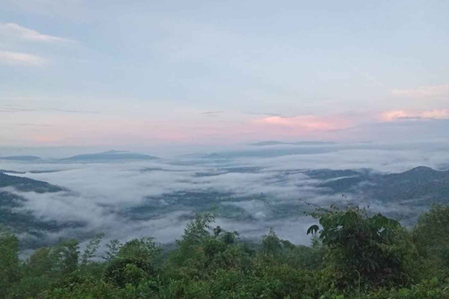 Общественность "введена в заблуждение" на территории парка