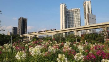 Опасения по поводу льгот в отношении иностранной собственности были сведены на нет