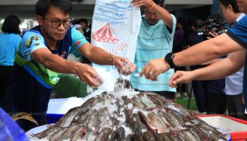 Панель исследует распространение инвазивных рыб