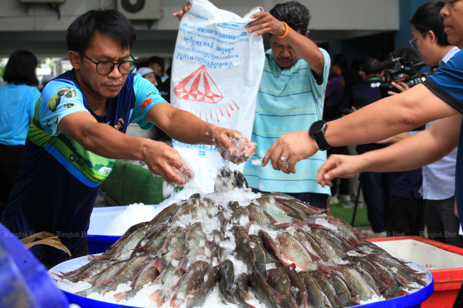 Панель исследует распространение инвазивных рыб