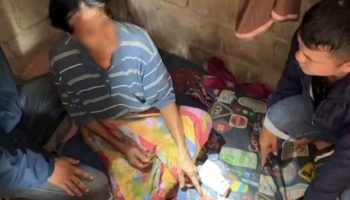 Пожилая женщина вынуждена продавать метамфетамин, чтобы прокормить четверых внуков