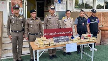 Пожилой мужчина арестован за перевозку почти 300 000 таблеток метамфетамина