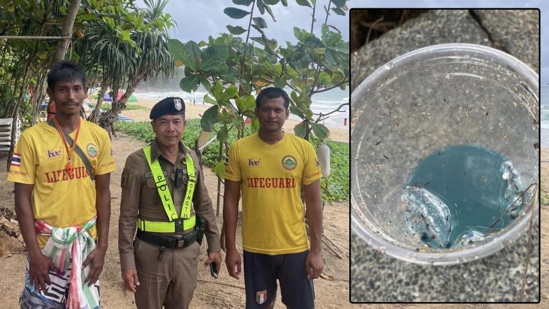 Португальские кораблики замечены на Сурине