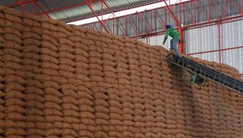 Последняя партия риса продана на аукционе за 244 миллиона фунтов стерлингов