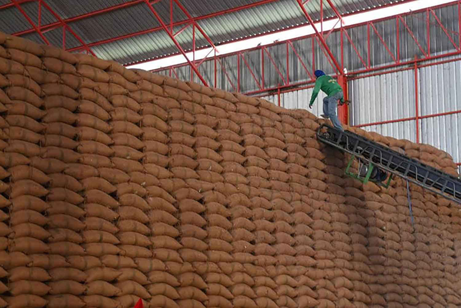 Последняя партия риса продана на аукционе за 244 миллиона фунтов стерлингов