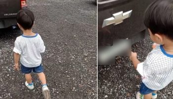 Предсказание на височной табличке мальчика вселяет надежду в лотерейщиков Таиланда (видео)