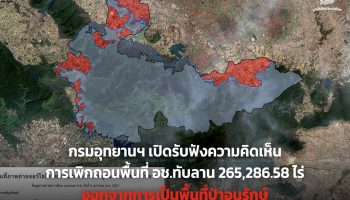 Предупреждение о поддельном онлайн-опросе в парке Тхап Лан