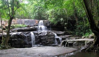 Результаты опроса жителей Таиланда о национальном парке Тхап Лан