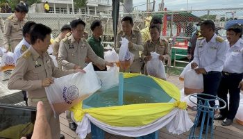 Самут Сакхон выпускает миллион креветок для сохранения реки
