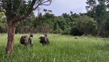 Совет директоров дома встретится с соседями по национальному парку