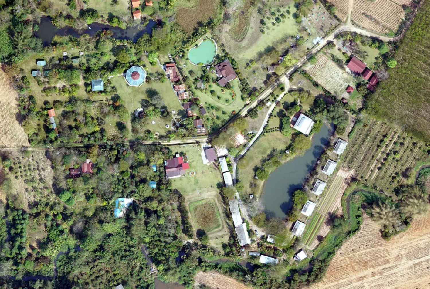 Согласно онлайн-опросу, 95% опрошенных выступают против сокращения парка Тхап Лан