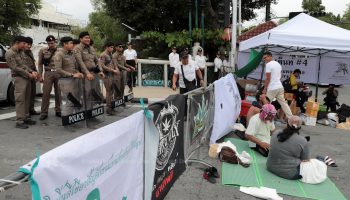 Сторонники каннабиса начинают голодовку в связи с приближающимися правовыми изменениями