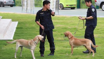 Таиланд остается основным источником контрабанды наркотиков в Южную Корею