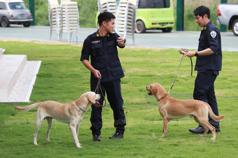 Таиланд остается основным источником контрабанды наркотиков в Южную Корею