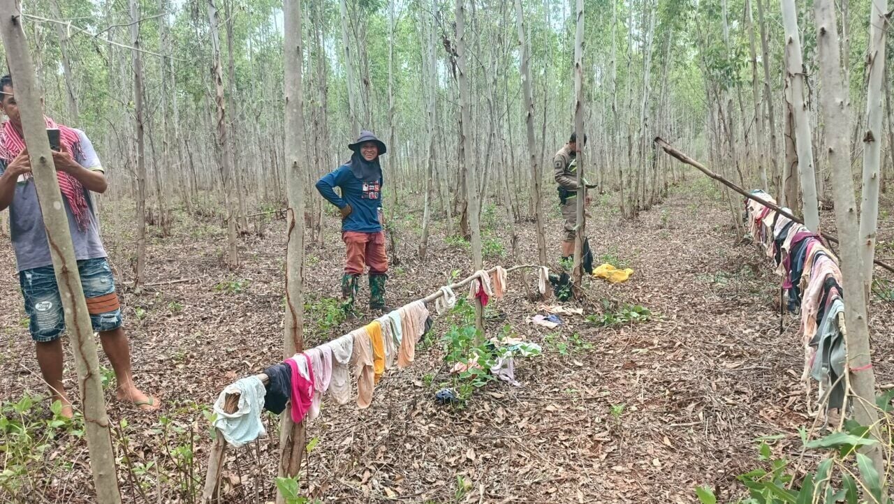 Тайский мужчина сажает семена осведомленности об извращенце-похитителе нижнего белья