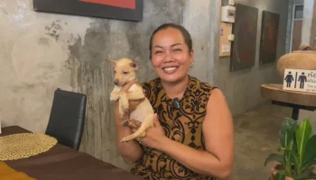 Тайско-британская пара "лапает" щенка, чтобы спасти его от жестокого обращения в ресторане