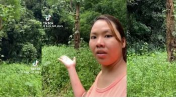 Тренд TikTok: "Джекпот" с засохшими джекфрутовыми деревьями стоимостью в миллионы долларов