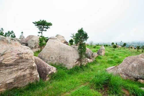Три тура, рекомендованные Управлением по туризму Таиланда