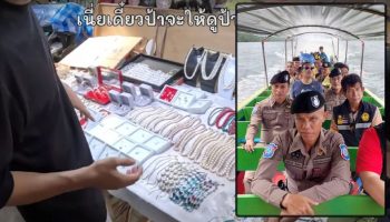 Турполиция отправилась на Паньи после критики местных цен