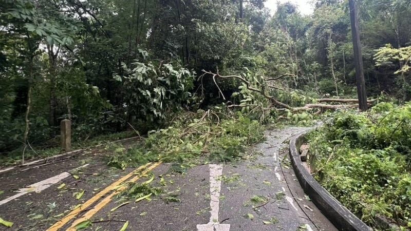 Уборка Пхукета в самом разгаре после урагана, сеющего хаос