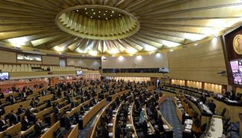 Уходящий Сенат будет исполнять свои обязанности до тех пор, пока Еврокомиссия не утвердит новых членов