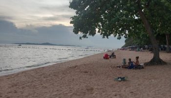 Фабрика мороженого в Паттайе пугает местных домохозяек и электриков