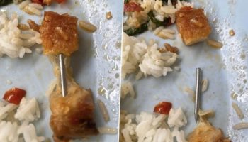 Хрустящий свиной сюрприз повергает посетителей бангкокской закусочной в шок