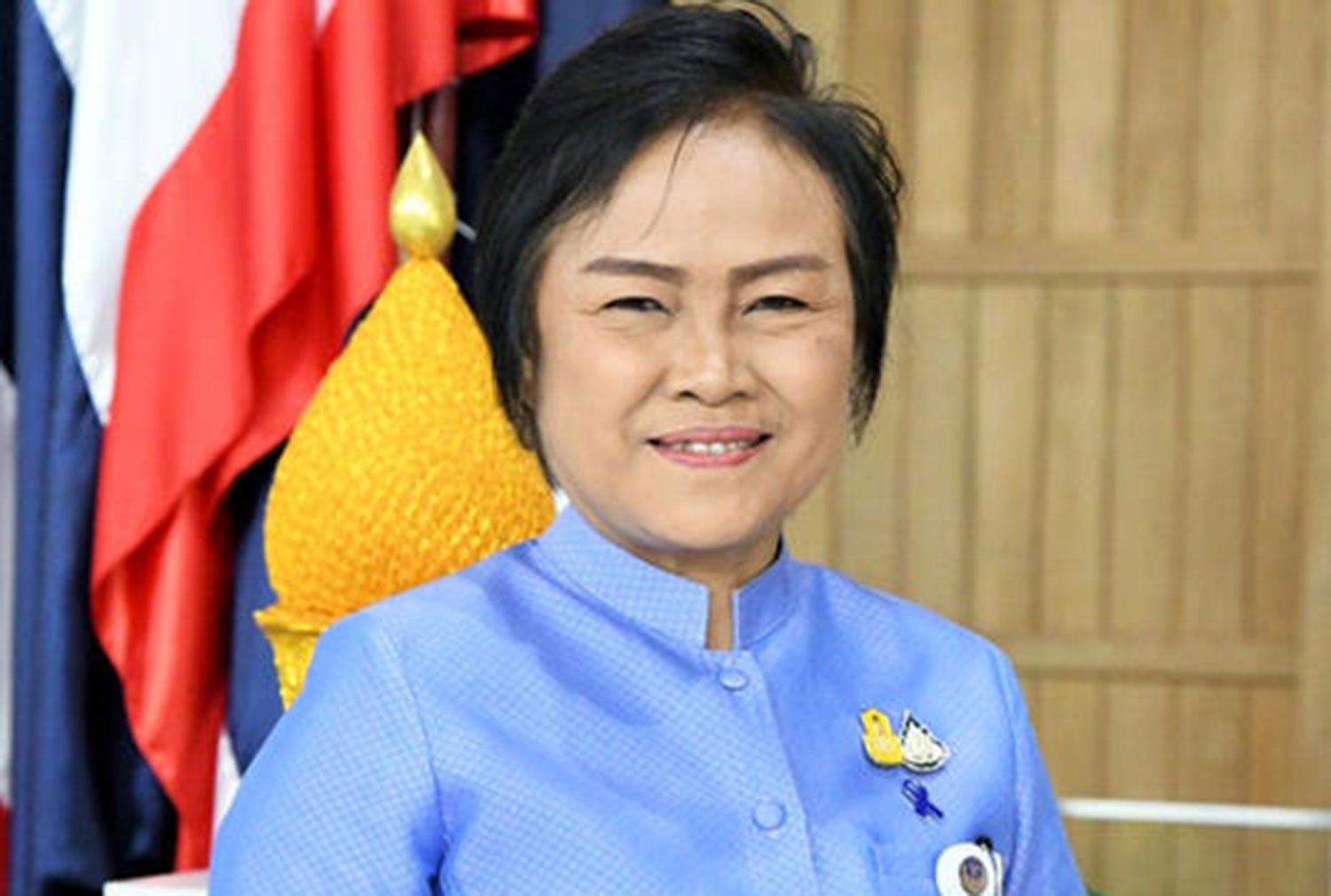 Член парламента Бхумджайтхай отстранен от должности за "покупку голосов’