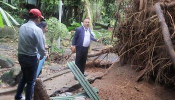 Штормовой ветер повалил деревья, повредил линии электропередач и билборды на Пхукете