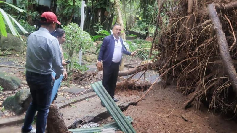 Штормовой ветер повалил деревья, повредил линии электропередач и билборды на Пхукете