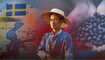 Ягода далеко: тайские фермеры ищут более выгодные кредиты в Скандинавии