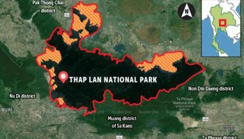 Ярость из-за плана снести тайский национальный парк для ведения сельского хозяйства