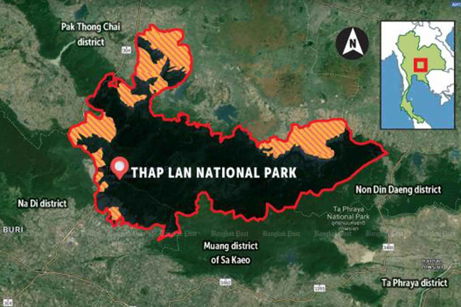 Ярость из-за плана снести тайский национальный парк для ведения сельского хозяйства
