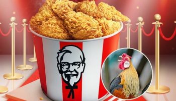 KFC в Таиланде празднует Национальный день жареной курицы с бесплатными куриными ножками