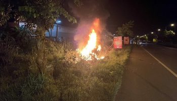 Автомобильная авария в Ратчабури произошла после того, как женщины свернули в сторону, чтобы объехать собаку